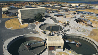 生物膜量、有毒物質和鹽度怎么影響生活污水處理設備功能的